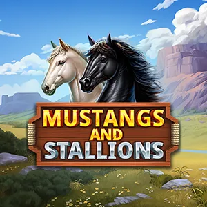 Mustangs and Stallions