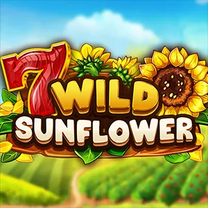 Wild Sunflower